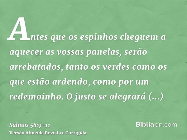 Antes que os espinhos cheguem a aquecer as vossas panelas, serão arrebatados, tanto os verdes como os que estão ardendo, como por um redemoinho.O justo se alegr
