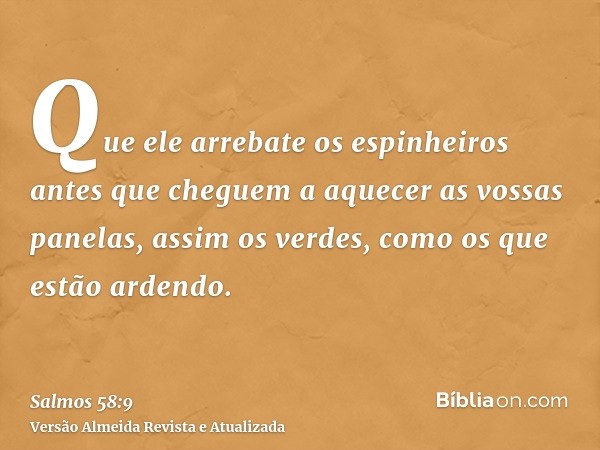 Que ele arrebate os espinheiros antes que cheguem a aquecer as vossas panelas, assim os verdes, como os que estão ardendo.