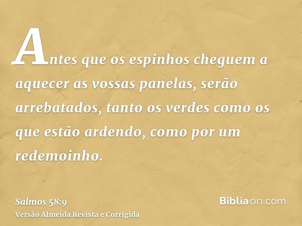 Antes que os espinhos cheguem a aquecer as vossas panelas, serão arrebatados, tanto os verdes como os que estão ardendo, como por um redemoinho.