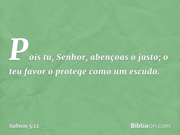 Pois tu, Senhor, abençoas o justo;
o teu favor o protege como um escudo. -- Salmo 5:12