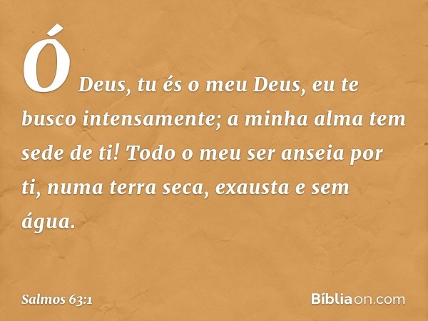 Ó Deus, tu és o meu Deus,
eu te busco intensamente;
a minha alma tem sede de ti!
Todo o meu ser anseia por ti,
numa terra seca, exausta e sem água. -- Salmo 63: