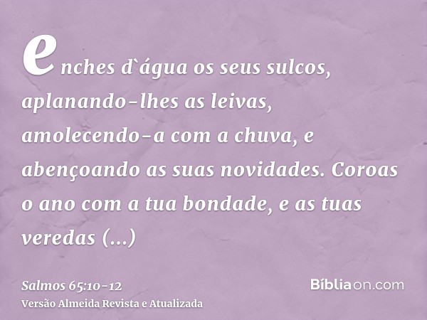 enches d`água os seus sulcos, aplanando-lhes as leivas, amolecendo-a com a chuva, e abençoando as suas novidades.Coroas o ano com a tua bondade, e as tuas vered