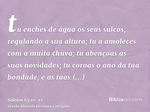 tu enches de água os seus sulcos, regulando a sua altura; tu a amoleces com a muita chuva; tu abençoas as suas novidades;tu coroas o ano da tua bondade, e as tu