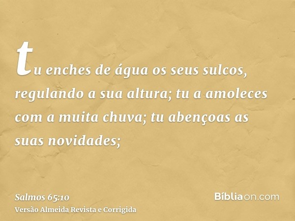 tu enches de água os seus sulcos, regulando a sua altura; tu a amoleces com a muita chuva; tu abençoas as suas novidades;
