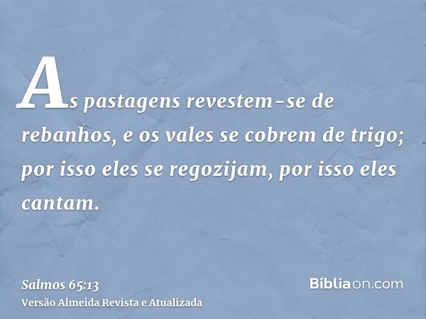 As pastagens revestem-se de rebanhos, e os vales se cobrem de trigo; por isso eles se regozijam, por isso eles cantam.