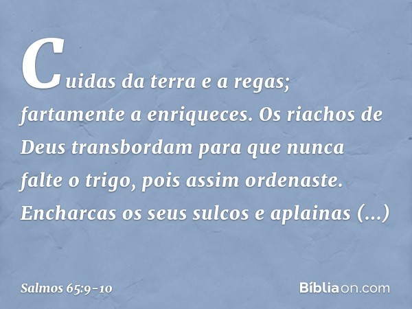 Cuidas da terra e a regas;
fartamente a enriqueces.
Os riachos de Deus transbordam
para que nunca falte o trigo,
pois assim ordenaste. Encharcas os seus sulcos
