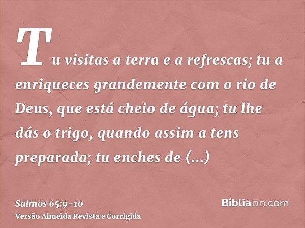 Tu visitas a terra e a refrescas; tu a enriqueces grandemente com o rio de Deus, que está cheio de água; tu lhe dás o trigo, quando assim a tens preparada;tu en