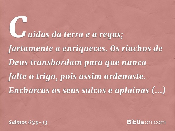 Cuidas da terra e a regas;
fartamente a enriqueces.
Os riachos de Deus transbordam
para que nunca falte o trigo,
pois assim ordenaste. Encharcas os seus sulcos
