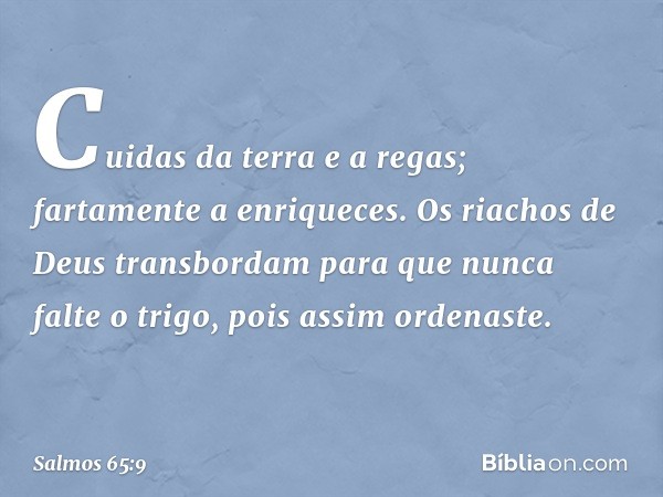 Cuidas da terra e a regas;
fartamente a enriqueces.
Os riachos de Deus transbordam
para que nunca falte o trigo,
pois assim ordenaste. -- Salmo 65:9