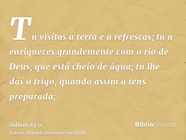 Tu visitas a terra e a refrescas; tu a enriqueces grandemente com o rio de Deus, que está cheio de água; tu lhe dás o trigo, quando assim a tens preparada;