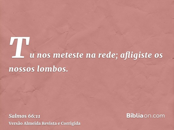 Tu nos meteste na rede; afligiste os nossos lombos.