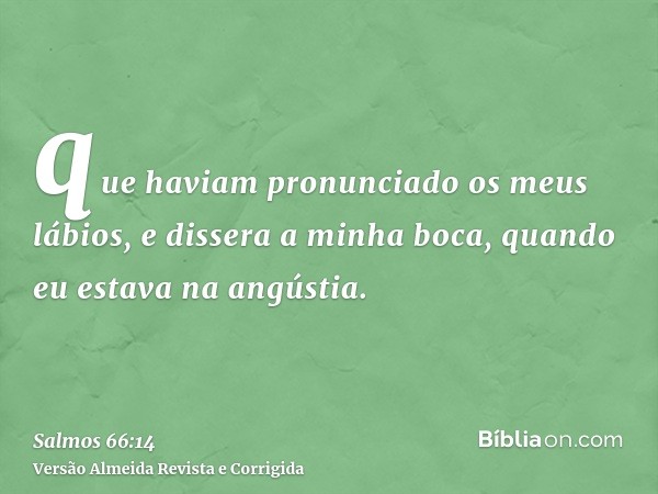 que haviam pronunciado os meus lábios, e dissera a minha boca, quando eu estava na angústia.