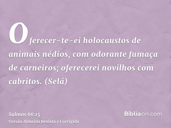 Oferecer-te-ei holocaustos de animais nédios, com odorante fumaça de carneiros; oferecerei novilhos com cabritos. (Selá)