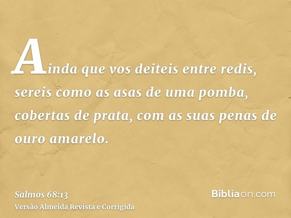 Ainda que vos deiteis entre redis, sereis como as asas de uma pomba, cobertas de prata, com as suas penas de ouro amarelo.