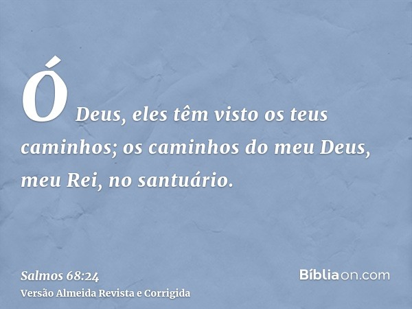 Ó Deus, eles têm visto os teus caminhos; os caminhos do meu Deus, meu Rei, no santuário.