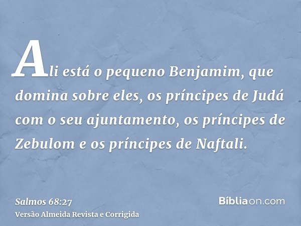 Ali está o pequeno Benjamim, que domina sobre eles, os príncipes de Judá com o seu ajuntamento, os príncipes de Zebulom e os príncipes de Naftali.