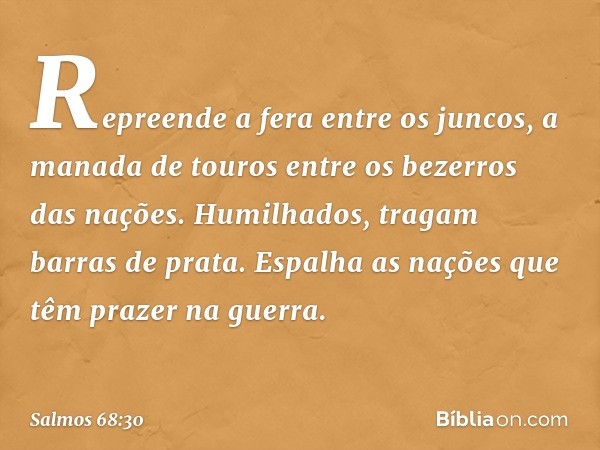 Repreende a fera entre os juncos,
a manada de touros
entre os bezerros das nações.
Humilhados, tragam barras de prata.
Espalha as nações que têm prazer na guerr