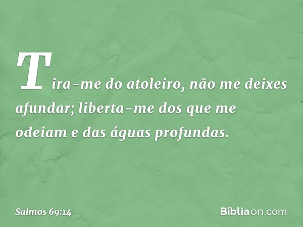 Tira-me do atoleiro,
não me deixes afundar;
liberta-me dos que me odeiam
e das águas profundas. -- Salmo 69:14