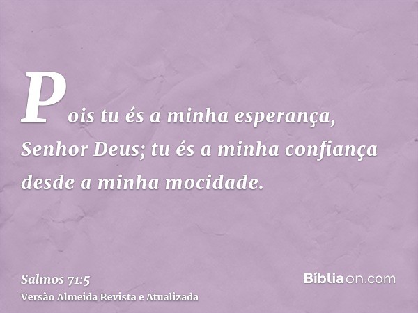 Pois tu és a minha esperança, Senhor Deus; tu és a minha confiança desde a minha mocidade.