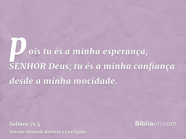 pois tu és a minha esperança, SENHOR Deus; tu és a minha confiança desde a minha mocidade.