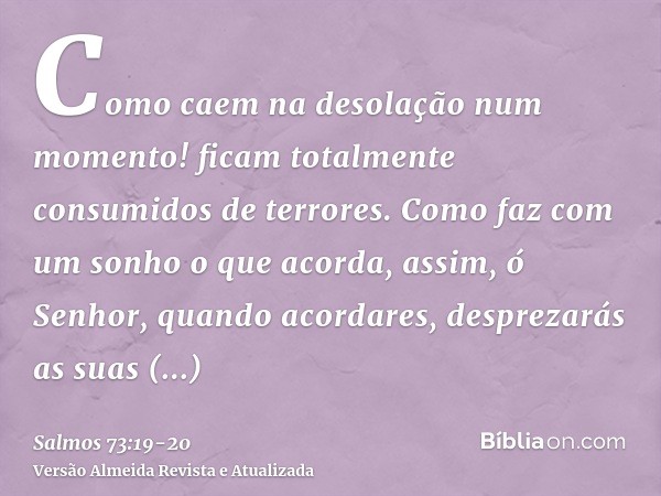 Como caem na desolação num momento! ficam totalmente consumidos de terrores.Como faz com um sonho o que acorda, assim, ó Senhor, quando acordares, desprezarás a