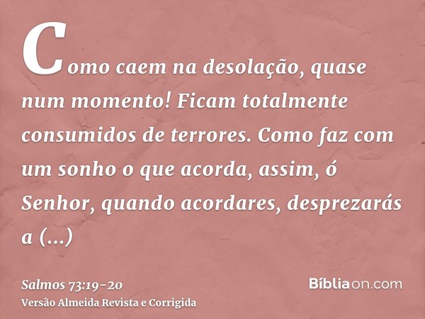 Como caem na desolação, quase num momento! Ficam totalmente consumidos de terrores.Como faz com um sonho o que acorda, assim, ó Senhor, quando acordares, despre