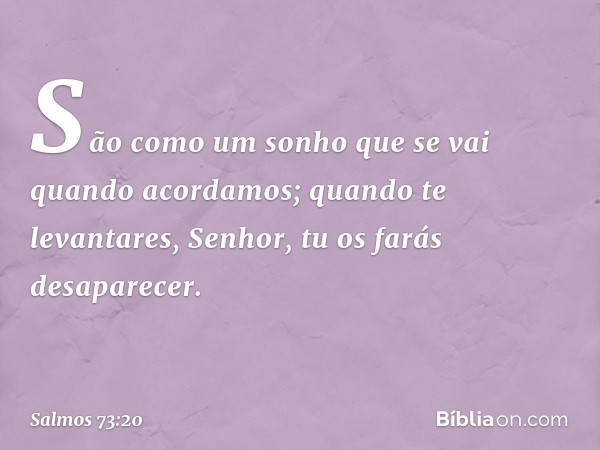 São como um sonho
que se vai quando acordamos;
quando te levantares, Senhor,
tu os farás desaparecer. -- Salmo 73:20