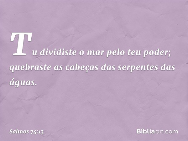 Tu dividiste o mar pelo teu poder;
quebraste as cabeças das serpentes das águas. -- Salmo 74:13