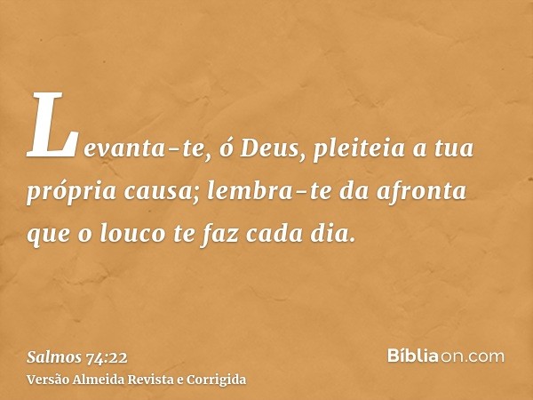Levanta-te, ó Deus, pleiteia a tua própria causa; lembra-te da afronta que o louco te faz cada dia.