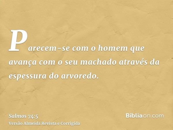 Parecem-se com o homem que avança com o seu machado através da espessura do arvoredo.