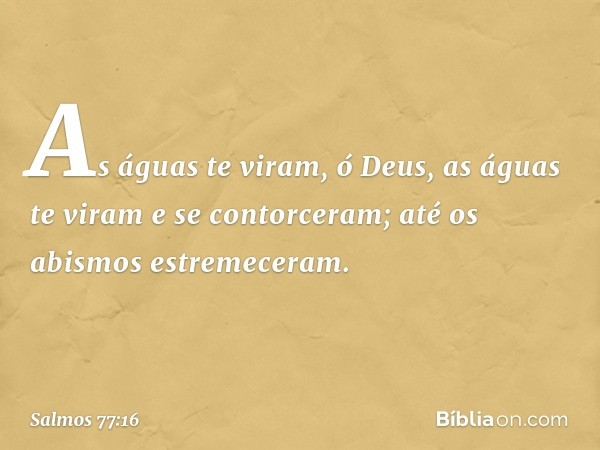 As águas te viram, ó Deus,
as águas te viram e se contorceram;
até os abismos estremeceram. -- Salmo 77:16