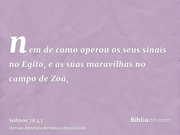 nem de como operou os seus sinais no Egito, e as suas maravilhas no campo de Zoã,