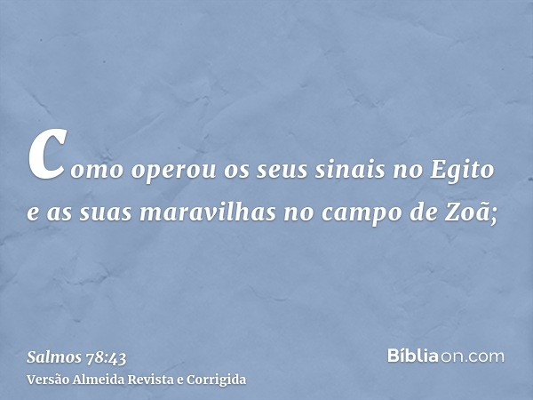 como operou os seus sinais no Egito e as suas maravilhas no campo de Zoã;