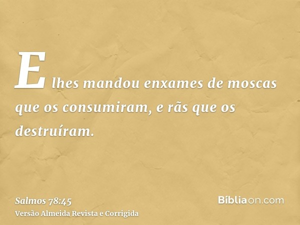 E lhes mandou enxames de moscas que os consumiram, e rãs que os destruíram.