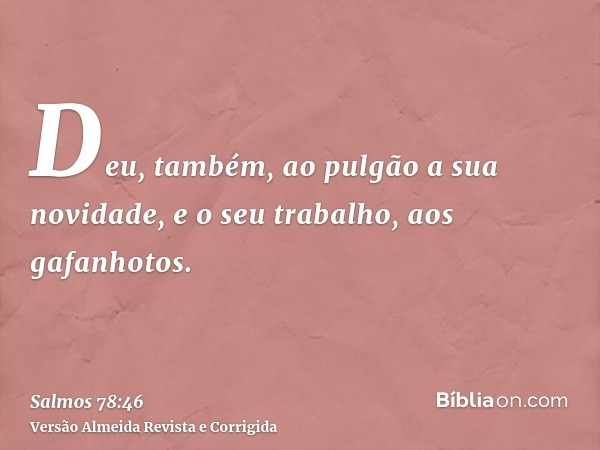 Deu, também, ao pulgão a sua novidade, e o seu trabalho, aos gafanhotos.
