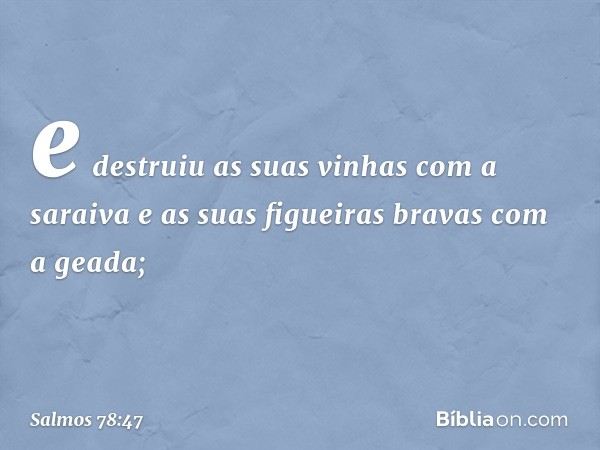 e destruiu as suas vinhas com a saraiva
e as suas figueiras bravas com a geada; -- Salmo 78:47