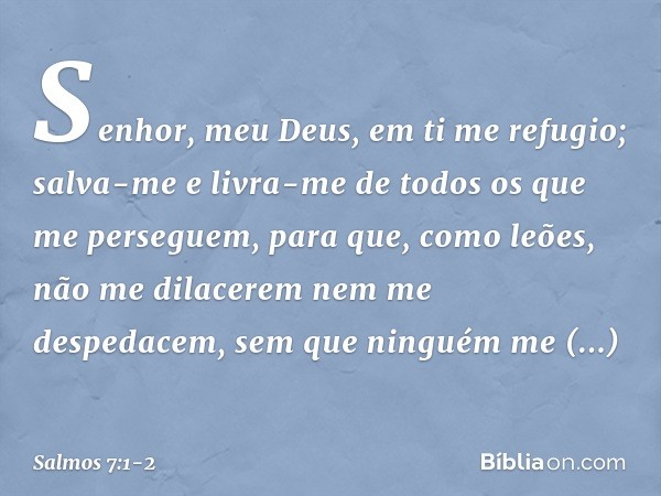 Senhor, meu Deus, em ti me refugio;
salva-me e livra-me de todos
os que me perseguem, para que, como leões,
não me dilacerem nem me despedacem,
sem que ninguém 