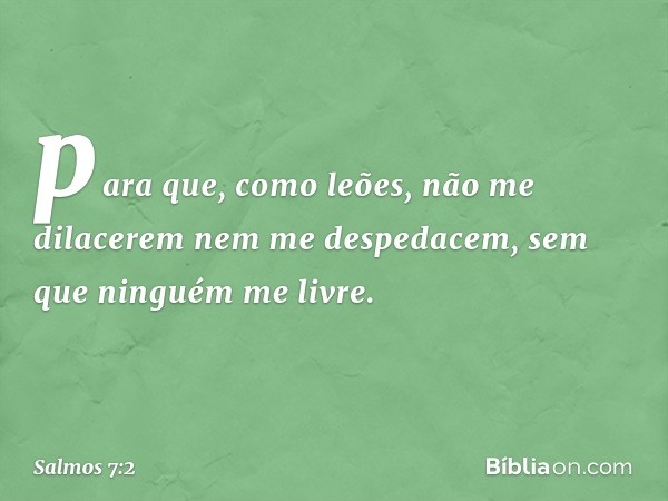 para que, como leões,
não me dilacerem nem me despedacem,
sem que ninguém me livre. -- Salmo 7:2