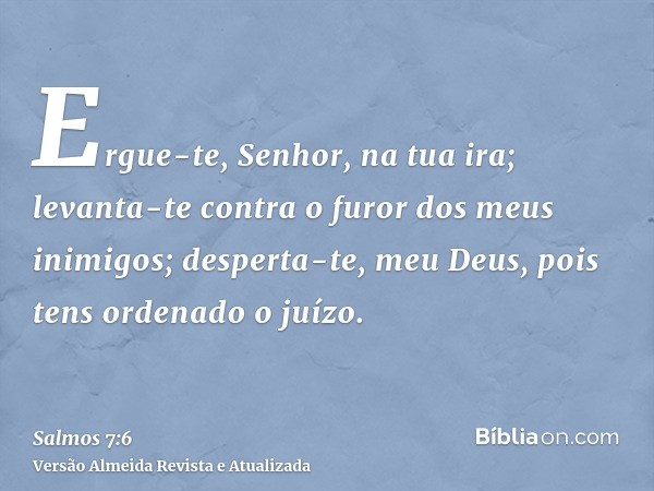 Ergue-te, Senhor, na tua ira; levanta-te contra o furor dos meus inimigos; desperta-te, meu Deus, pois tens ordenado o juízo.