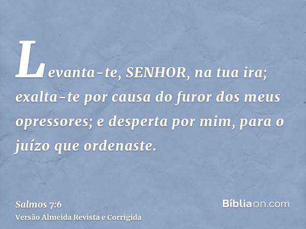 Levanta-te, SENHOR, na tua ira; exalta-te por causa do furor dos meus opressores; e desperta por mim, para o juízo que ordenaste.