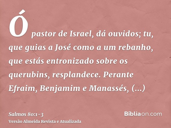 Ó pastor de Israel, dá ouvidos; tu, que guias a José como a um rebanho, que estás entronizado sobre os querubins, resplandece.Perante Efraim, Benjamim e Manassé