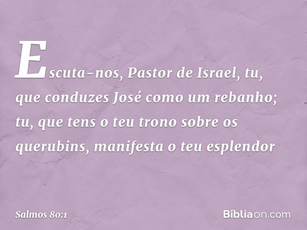 Escuta-nos, Pastor de Israel,
tu, que conduzes José como um rebanho;
tu, que tens o teu trono sobre os querubins,
manifesta o teu esplendor -- Salmo 80:1