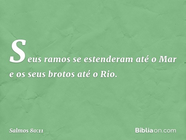 Seus ramos se estenderam até o Mar
e os seus brotos até o Rio. -- Salmo 80:11