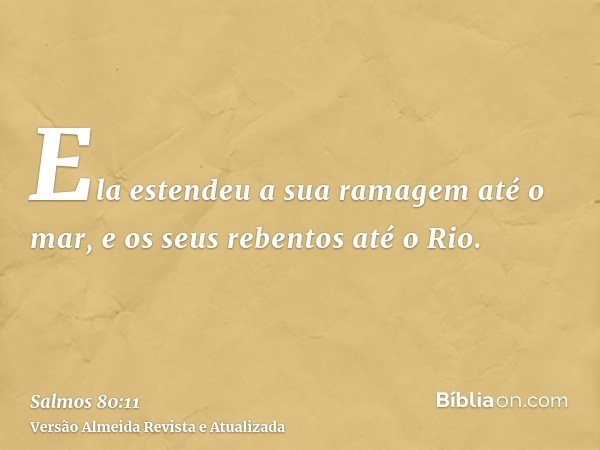 Ela estendeu a sua ramagem até o mar, e os seus rebentos até o Rio.