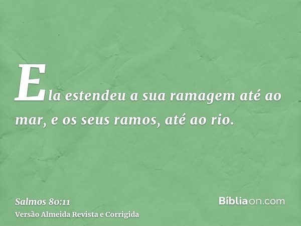 Ela estendeu a sua ramagem até ao mar, e os seus ramos, até ao rio.