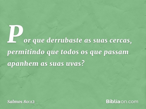 Por que derrubaste as suas cercas,
permitindo que todos os que passam
apanhem as suas uvas? -- Salmo 80:12