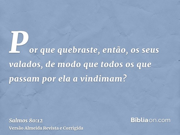 Por que quebraste, então, os seus valados, de modo que todos os que passam por ela a vindimam?