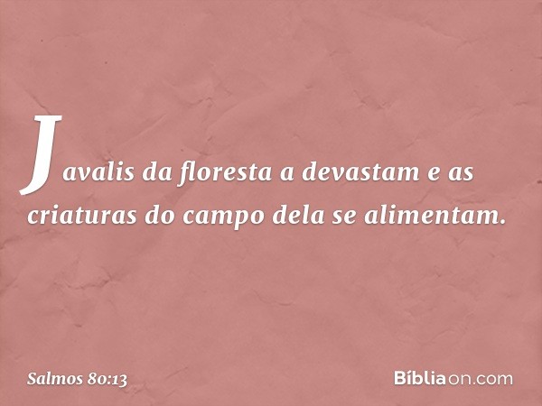 Javalis da floresta a devastam
e as criaturas do campo dela se alimentam. -- Salmo 80:13