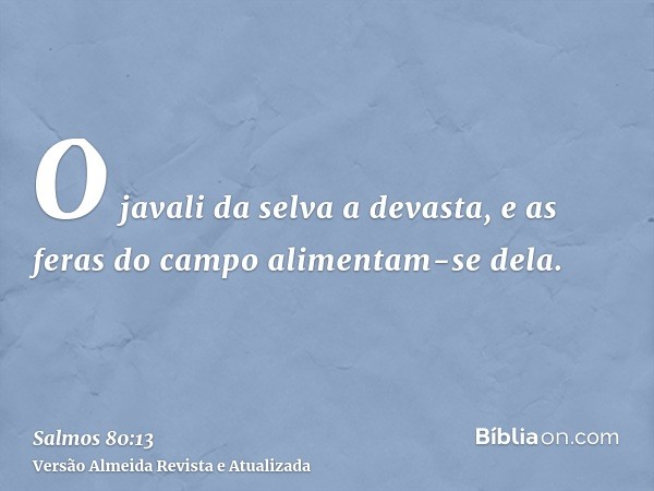 O javali da selva a devasta, e as feras do campo alimentam-se dela.