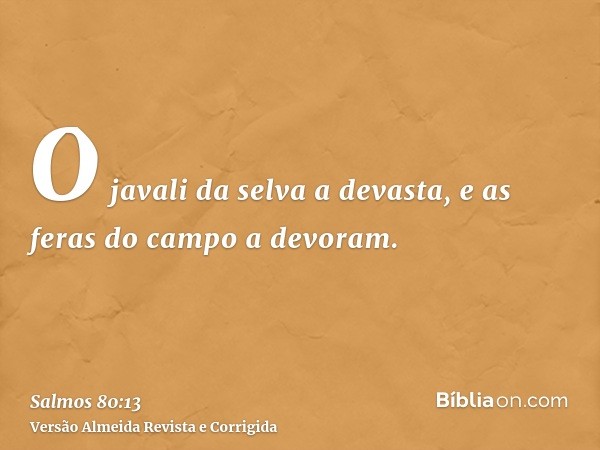 O javali da selva a devasta, e as feras do campo a devoram.